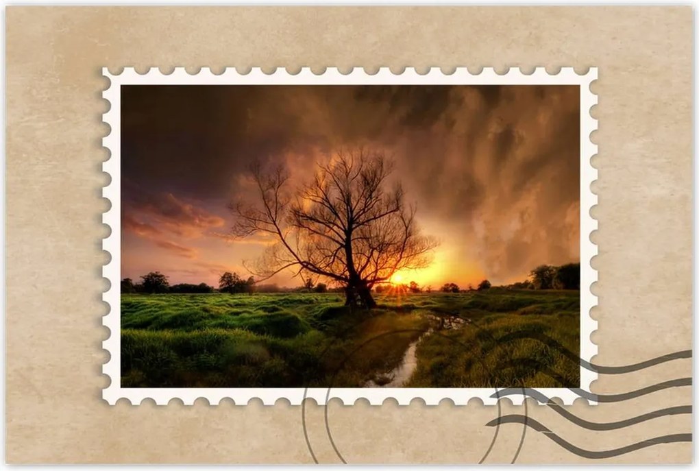 Poszterek 120x80 Tölgy a croissant-ban Nyugat