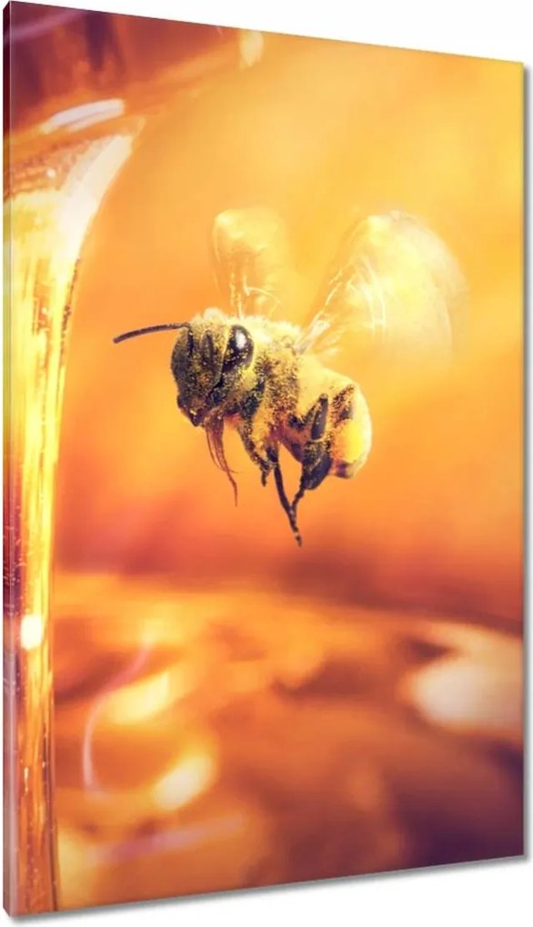 Vászonkép 80x120 Csöpögő méz egy befőttesüvegből