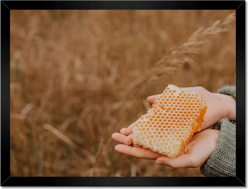 Poszterek keretben 40x30 Méz Méhészet