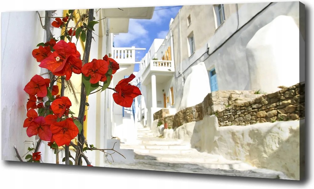 Vászonkép Mykonos Görögország 100x70 cm