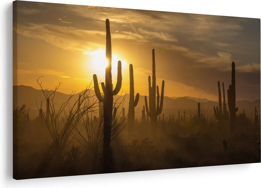 Kép - Saguaro kaktuszok (90x60 cm)