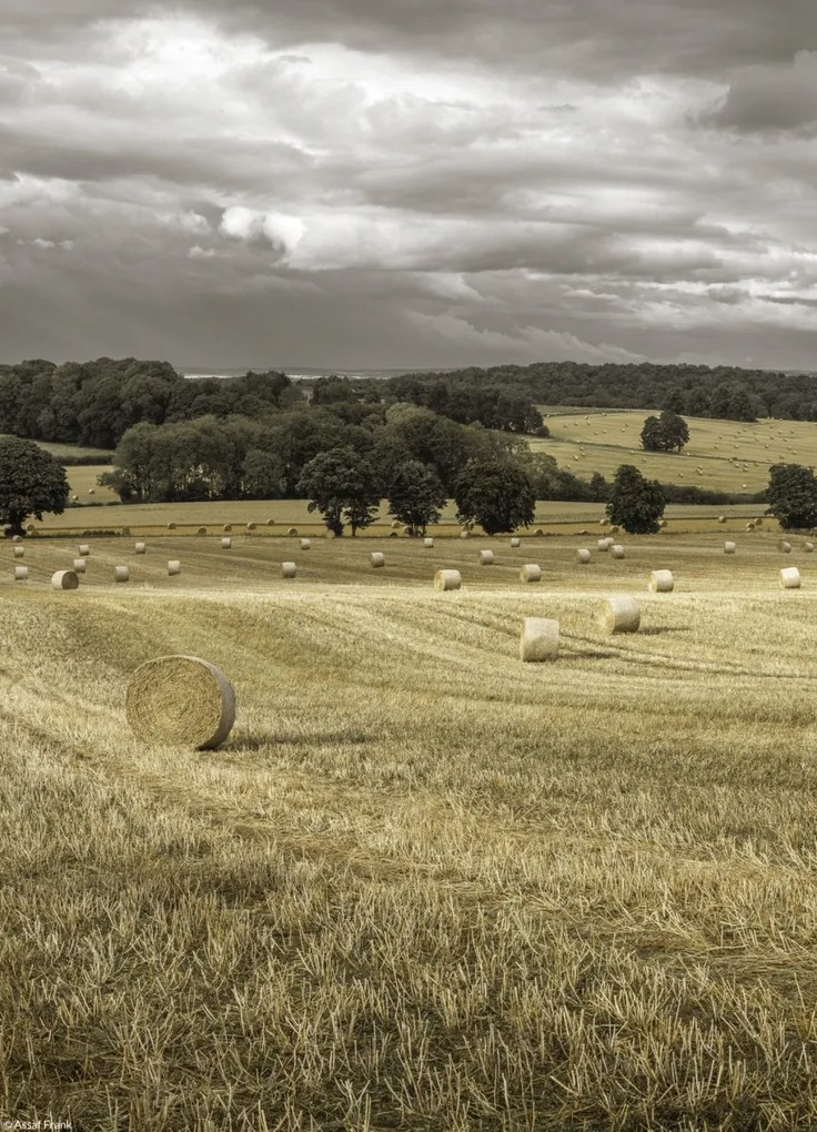 Poszter 20,5x28,4cm Szénakazalok a mezőkön 3, Assaf Frank