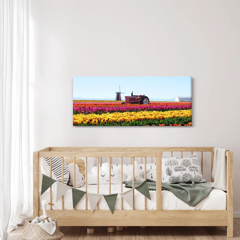 Tulipánfarm képe (120x50 cm)