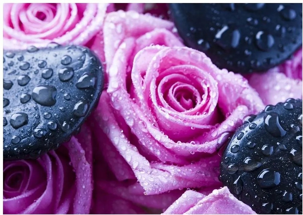 Fotótapéta rózsa virágok fotótapéta 368 x 254