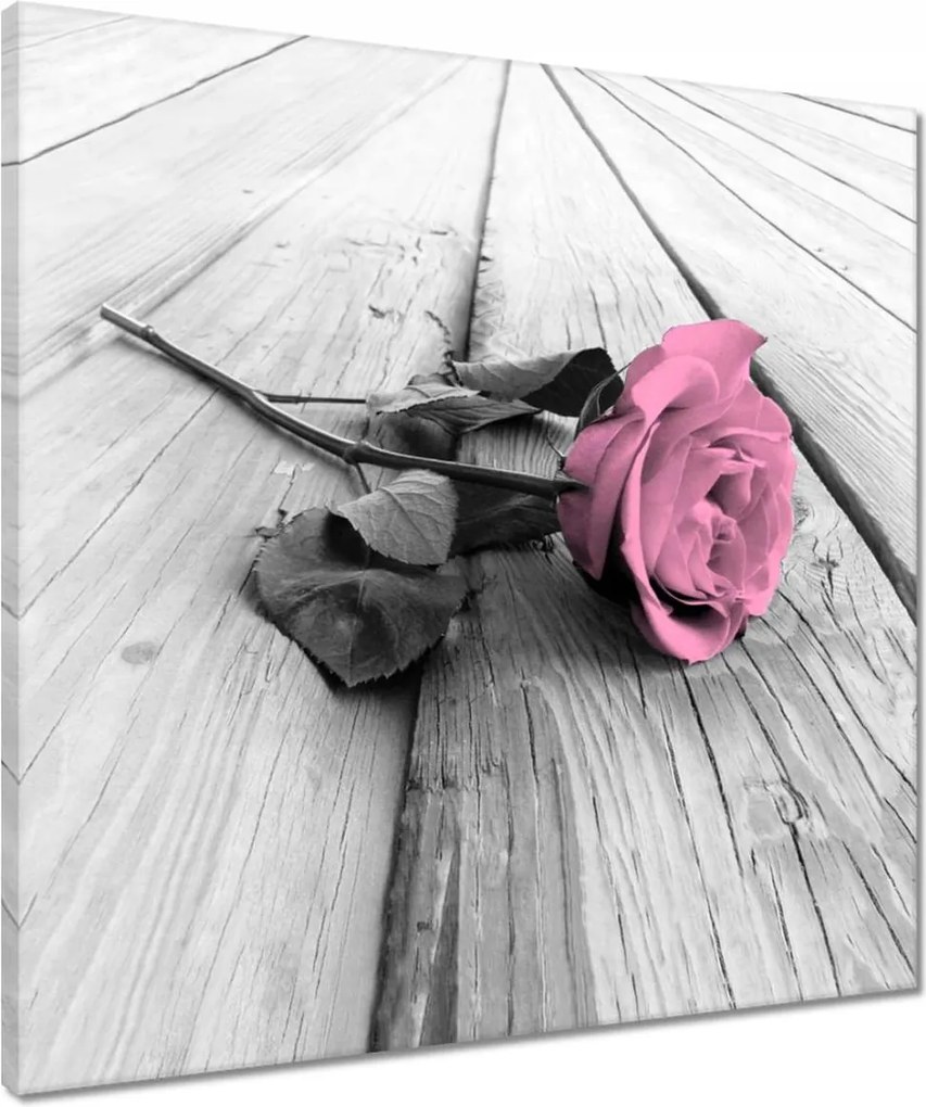 Vászonkép 50x50 Rózsa világos deszkákon