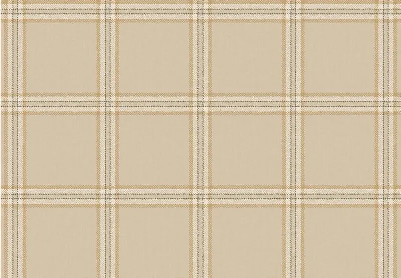 Parato Cristiana Masi Top Stripes Tissue barna-bézs kockás vlies tapéta – 38413