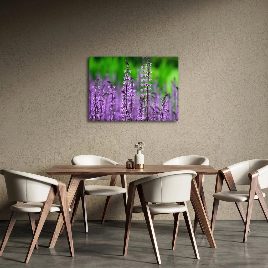 Lila mezei virágok képe (70x50 cm)