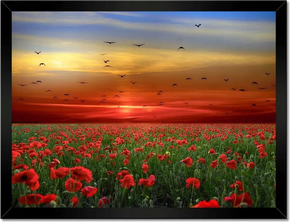 Poszterek keretben 40x30 Tájkép Látvány