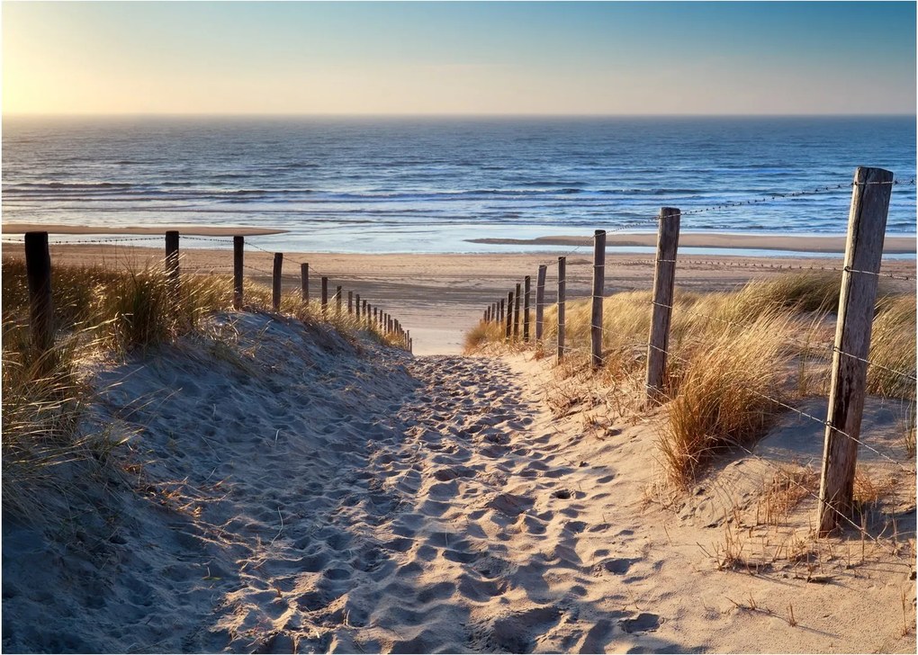 Kép - Út az északi-tengeri strandra, Hollandia (üvegen) (70x50 cm)