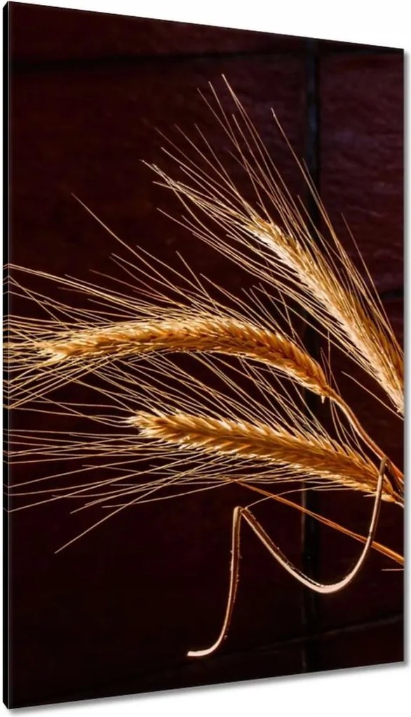 Vászonkép 80x120 Pe teljes kalászok