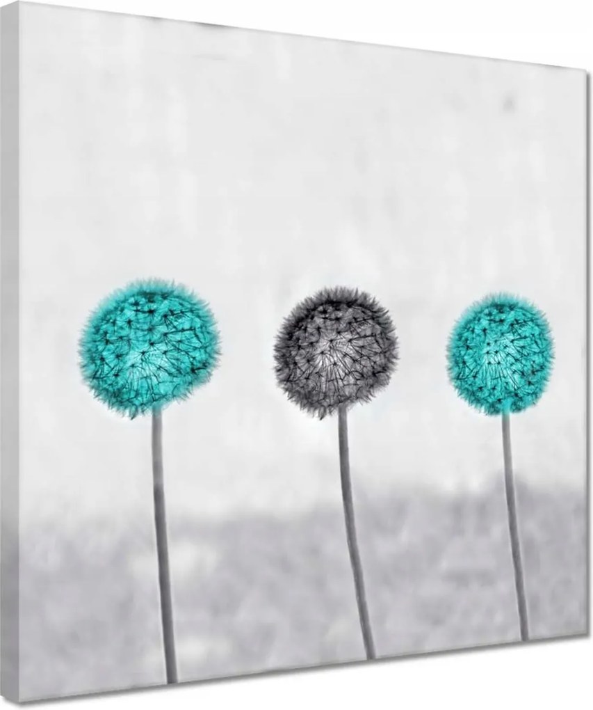 Képek 30x30 Türkiz pitypang