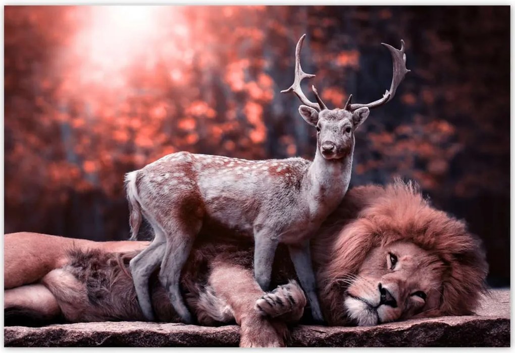 Poszterek 200x135 Szarvas felszarvazott