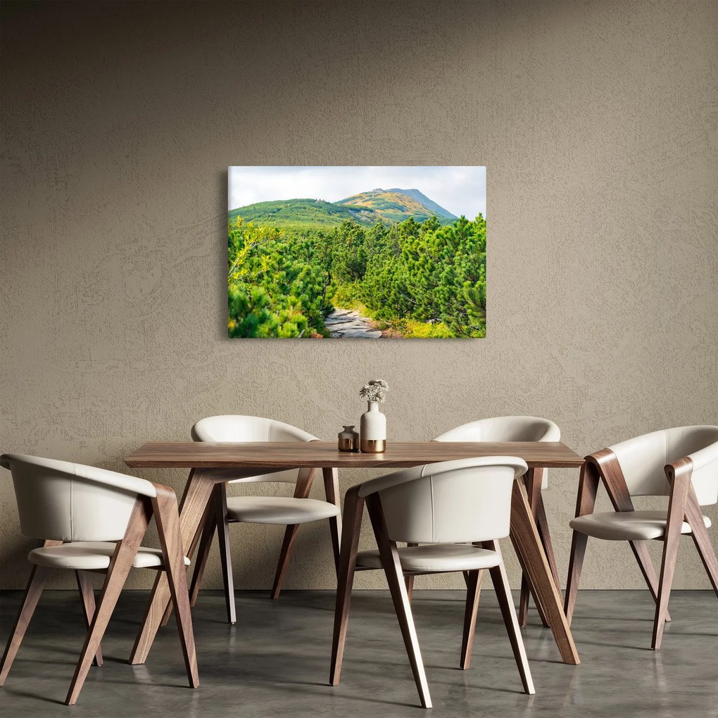 Kép - Babi Hora, Lengyelország (90x60 cm)