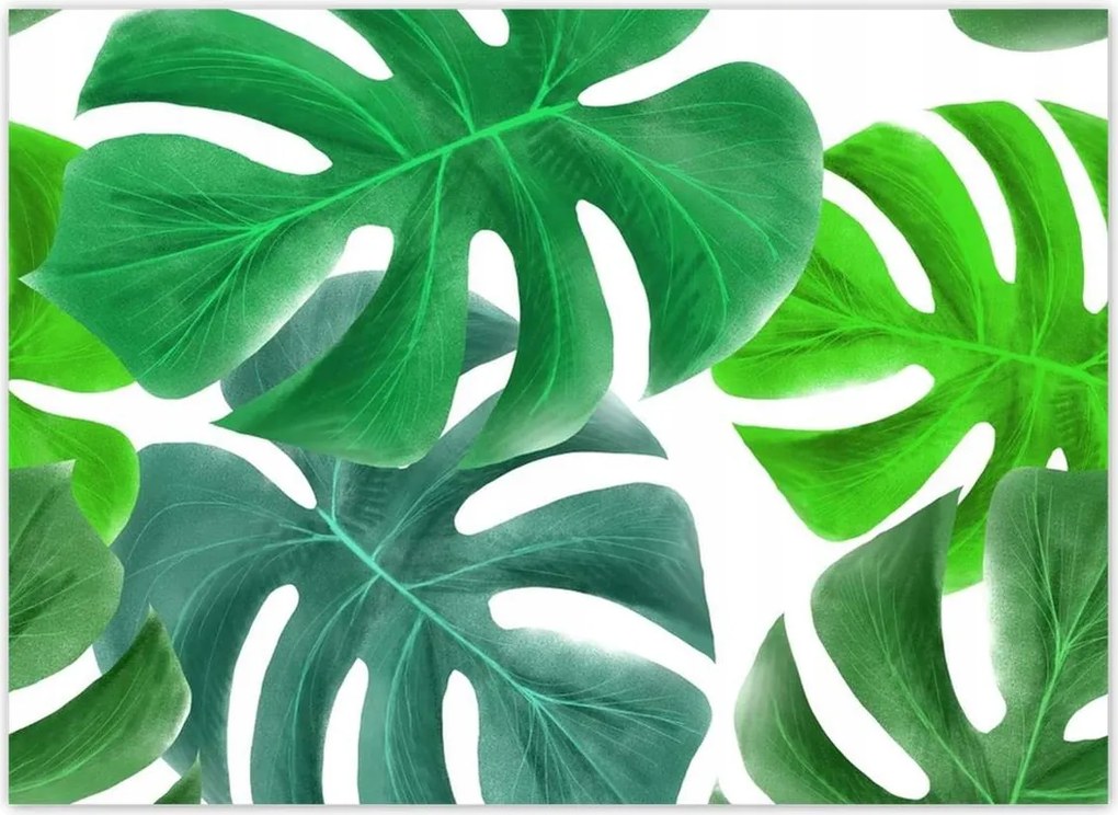 Fotótapéták 254x184 Levelek Monstery Trópusok