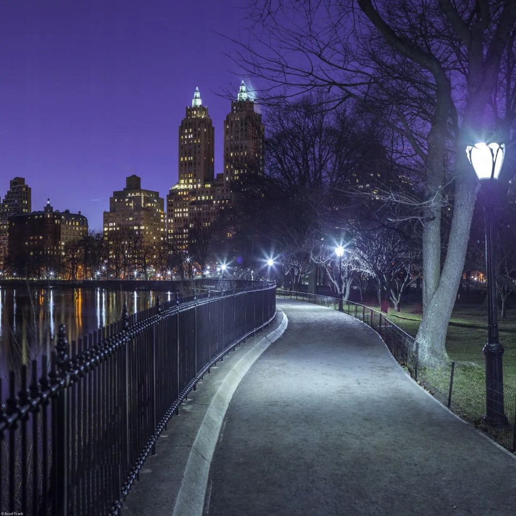 Poszter 40x40cm Central Park, Assaf Frank