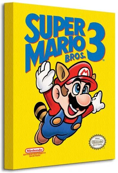 Vászonkép Nintendo Super Mário Bros 3 (NES Cover) 30x40cm WDC92383