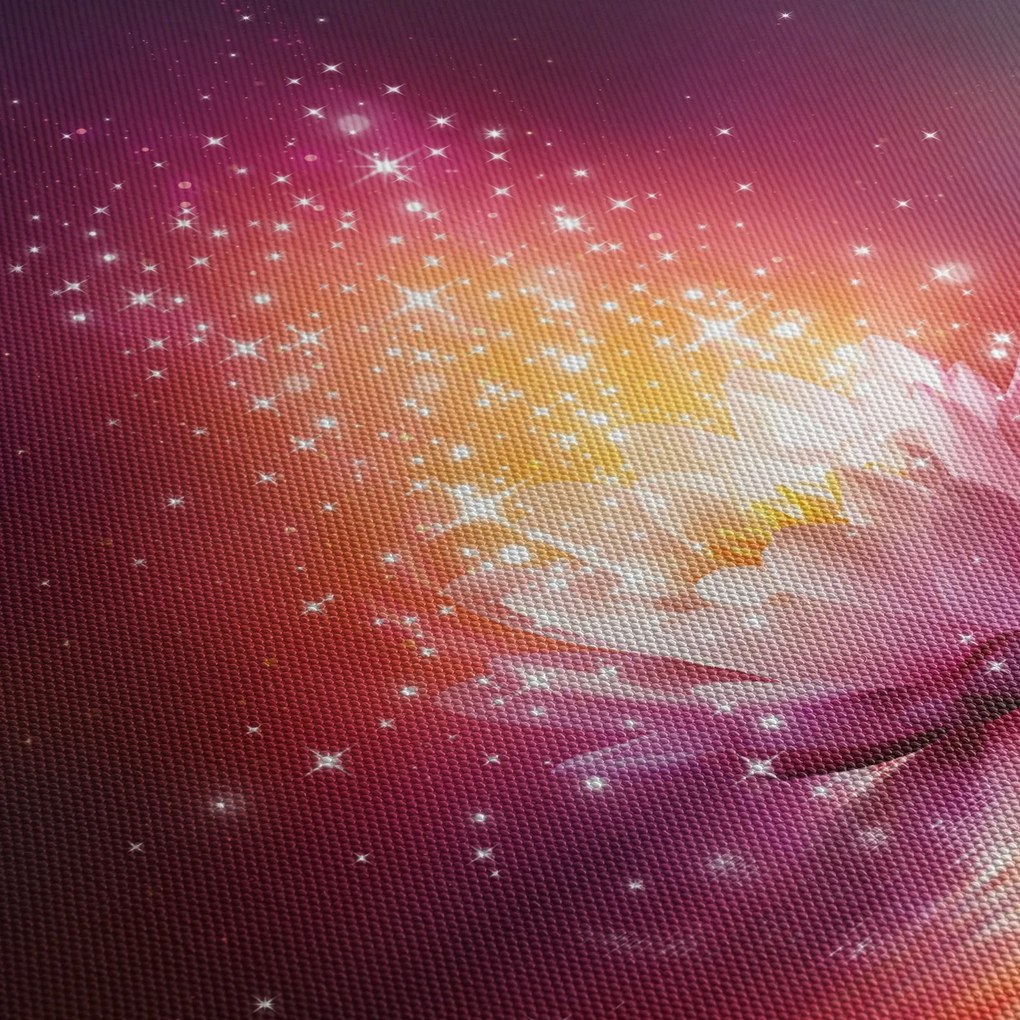 Lótuszvirág képe (120x50 cm)