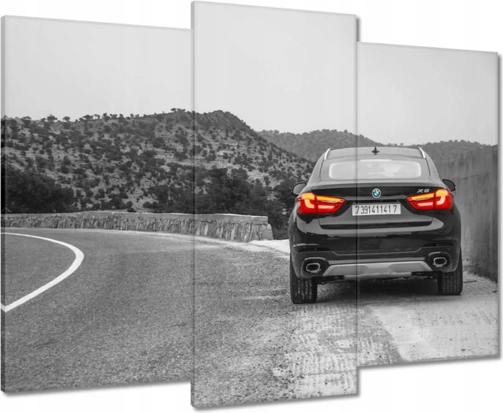Vászonkép 90x70 Bmw fekete X6