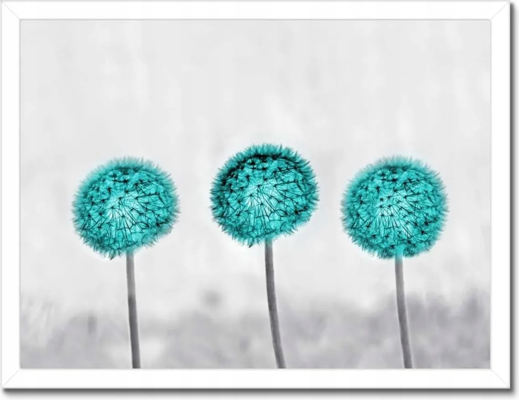 Poszterek keretben 40x30 Türkiz pitypang virág