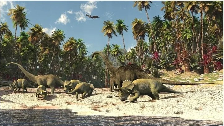 Fotótapéta Dinoszauruszok A Gyerekszobába Gyerek Fali Tapéta 368x254