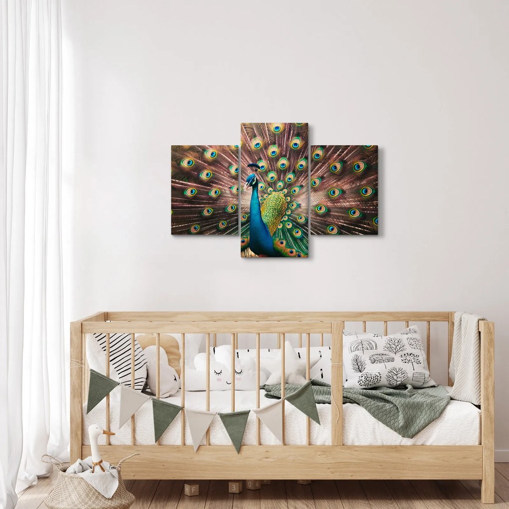 Kép - Páva (90x60 cm)