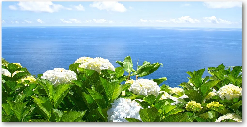 Konyhai panel Virágok a tengerparton 120x60 cm Ragasztó