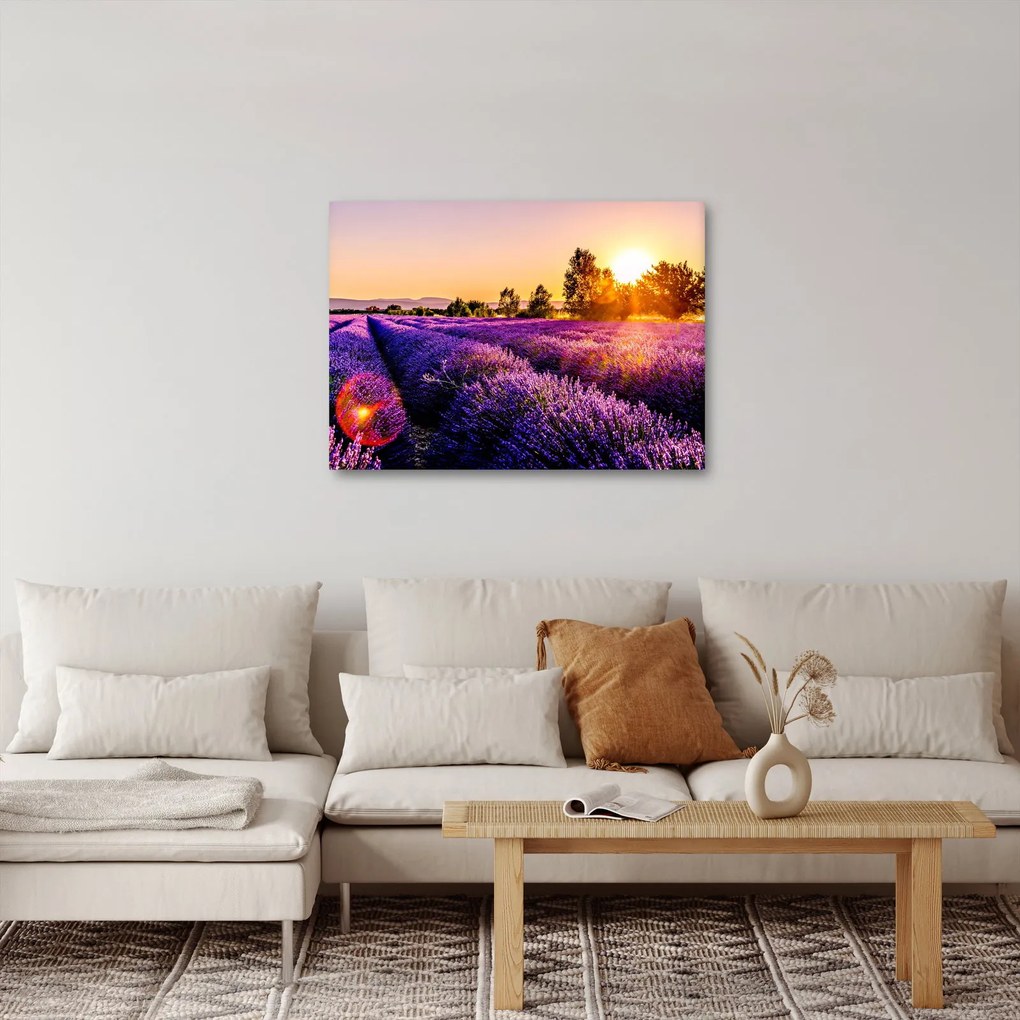 A levendula mező képe, Provence (70x50 cm)