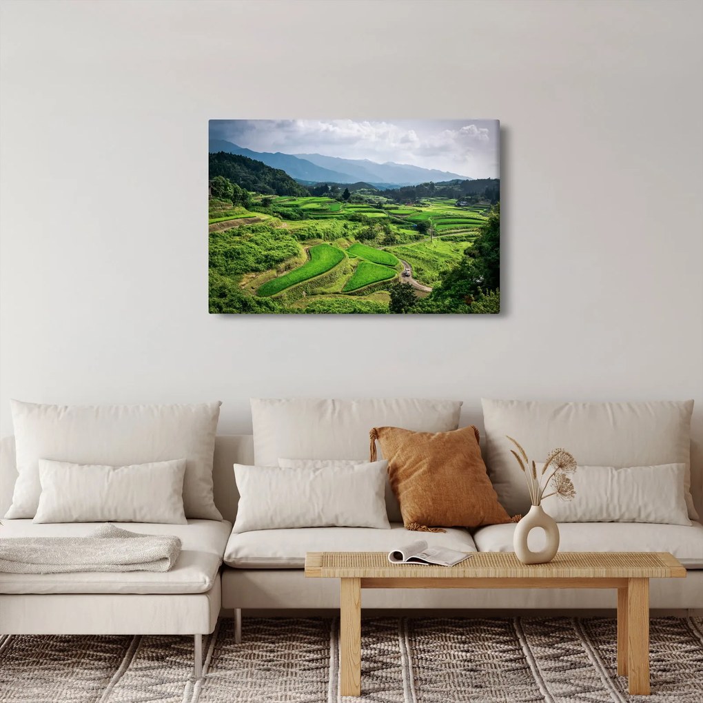 Rizsmező képe (90x60 cm)