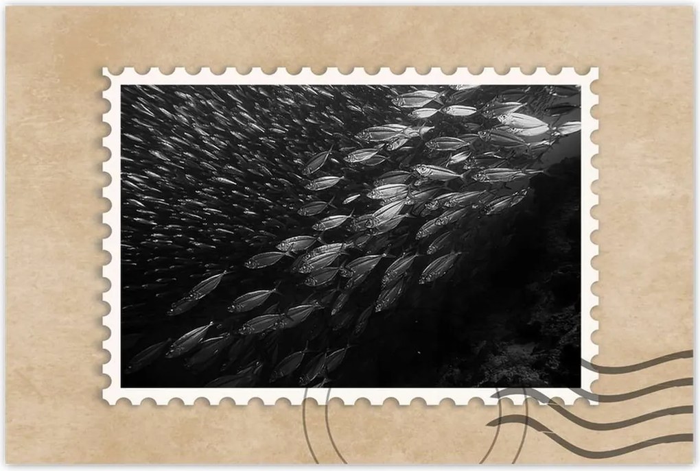 Poszterek 90x60 Nagy halak a tengerben