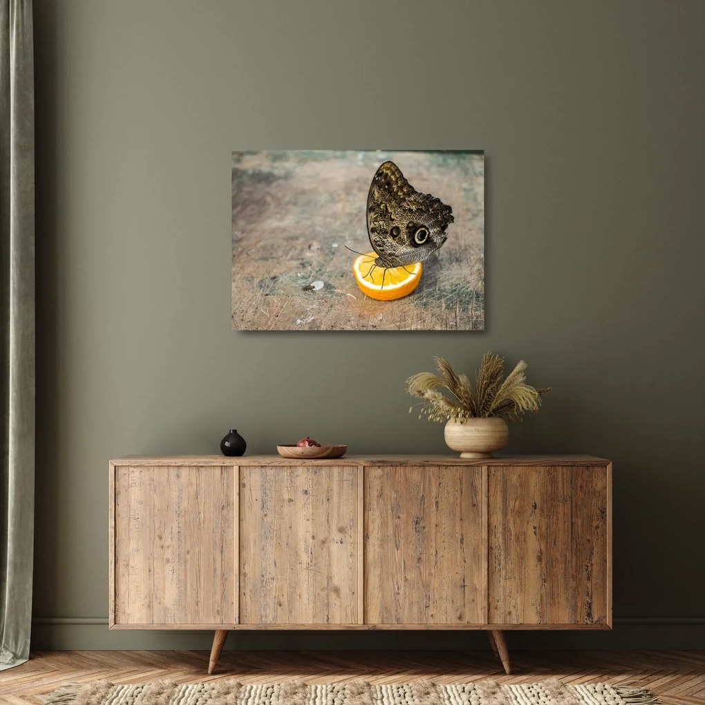 Pillangó képe (üvegen) (70x50 cm)