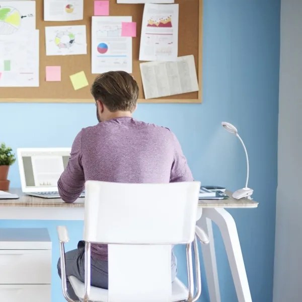 Rabalux 6448 - LED Szabályozható lámpa csipeszes HARRIS LED/4W