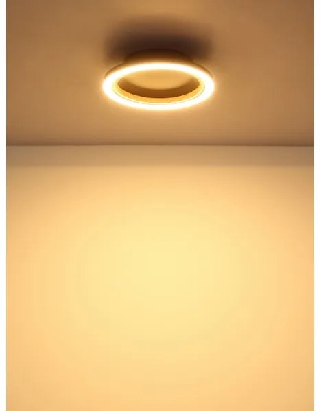 Globo 67356D - LED mennyezeti lámpa DAKARI I LED/12W/230V 3000K átm. 20,5 cm
