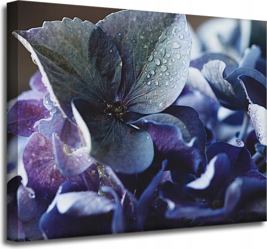 Kék hortenzia virág vászonkép 50x40