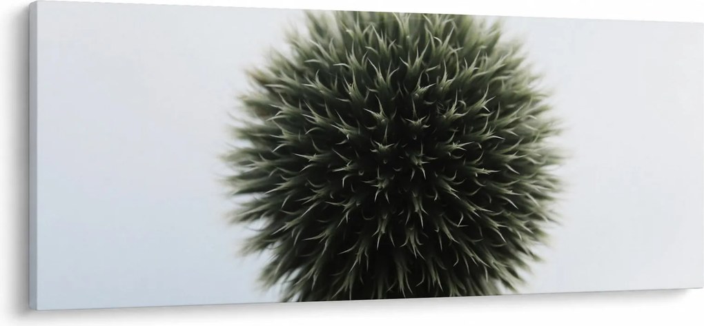 Egy viráglabda képe (120x50 cm)
