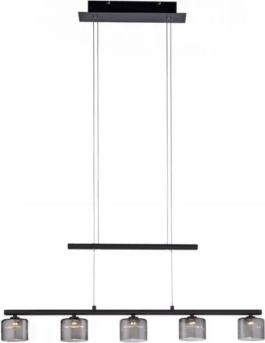 Led függőlámpa 5x4W Hydra 2209-18 Paul Neuhaus