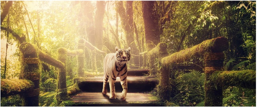 Tigris képe (120x50 cm)