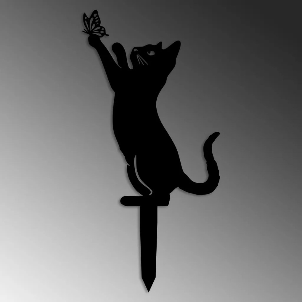 Cat 01