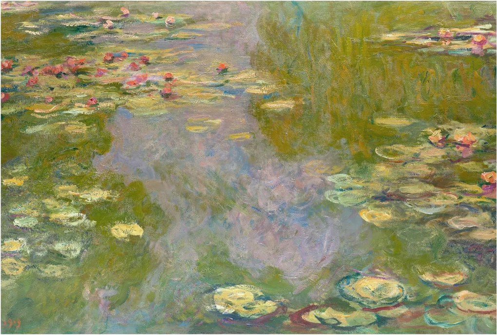 Dekoratív fotótapéta Hálószobába Vízi liliomok 104x70 Ragasztó