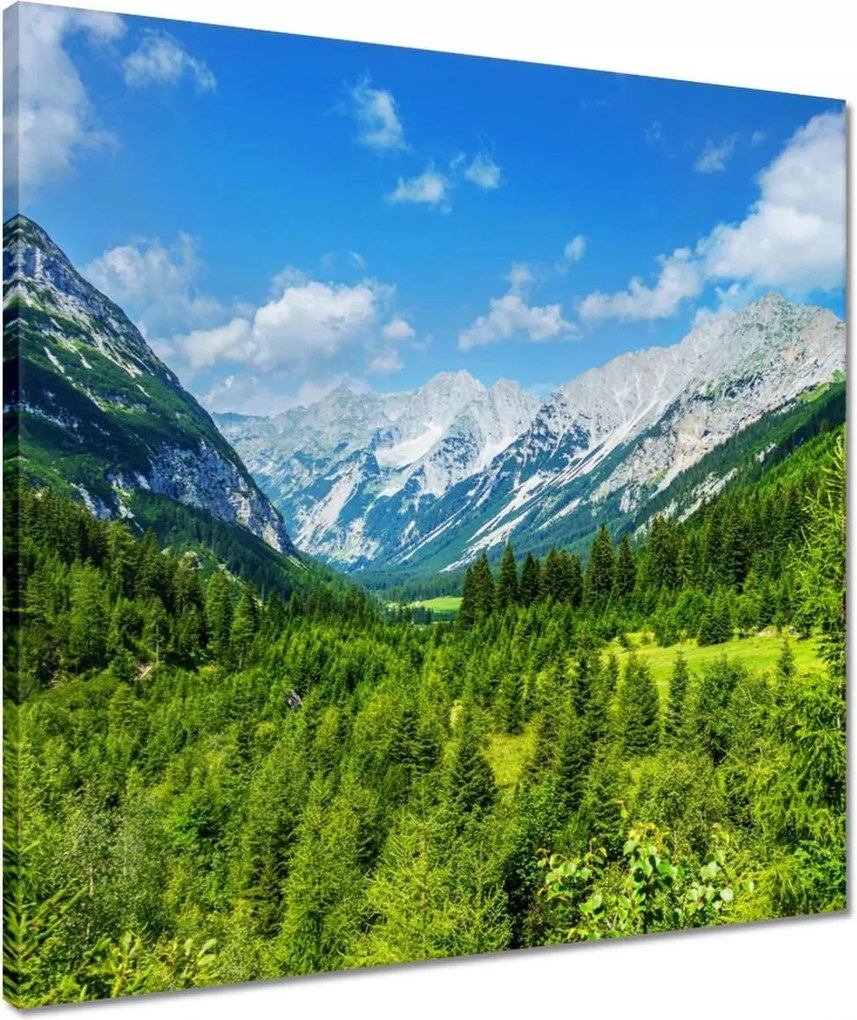 Vászonkép 50x50 Hegyi táj gyönyörű felhőkkel Fák a hegyekben