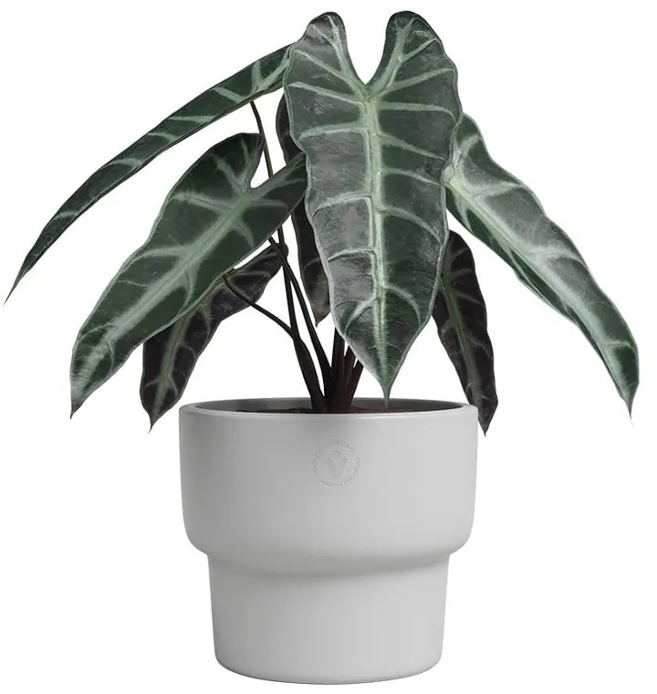 Kerámia kézzel készített virágcserép ø 17 cm Echo – Artevasi