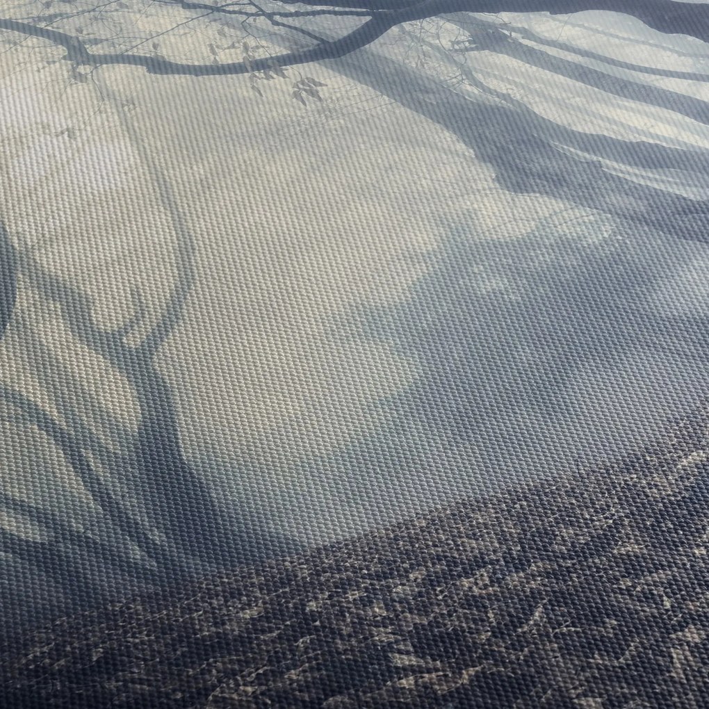 Kép - Erdő a ködben (150x105 cm)