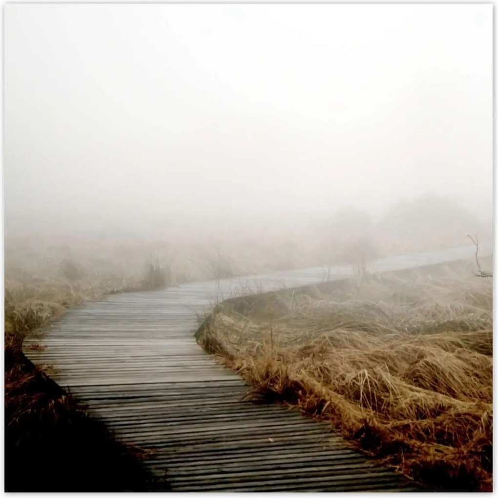 Poszterek 140x140 Reggeli fények