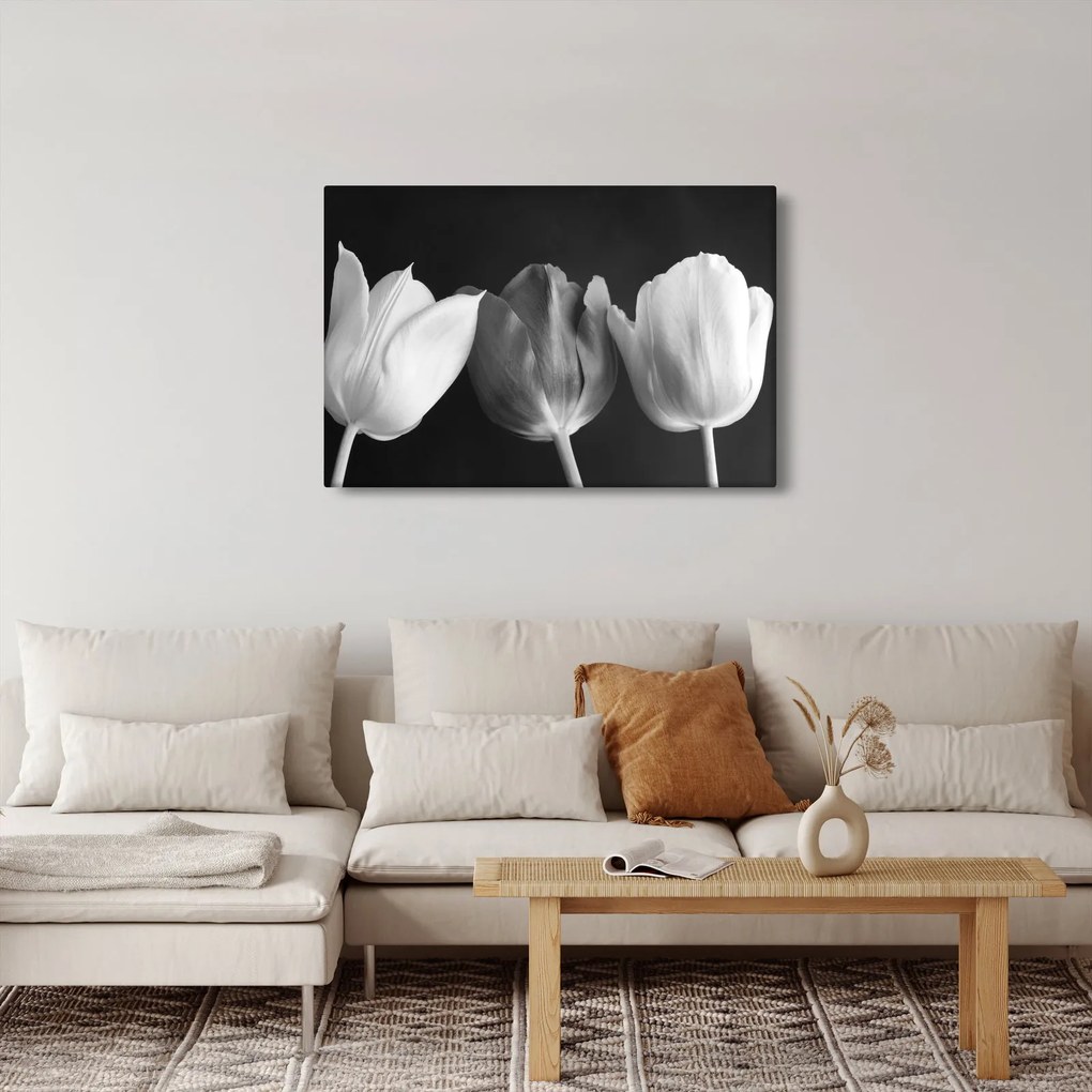 Kép - fekete-fehér tulipán virág (90x60 cm)
