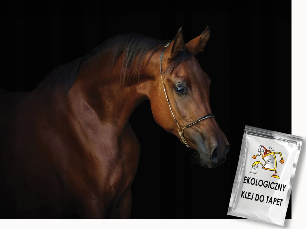 Fotótapéta Flizelina Állatok Lovak Barna Ló Portré 400x280 ragasztó