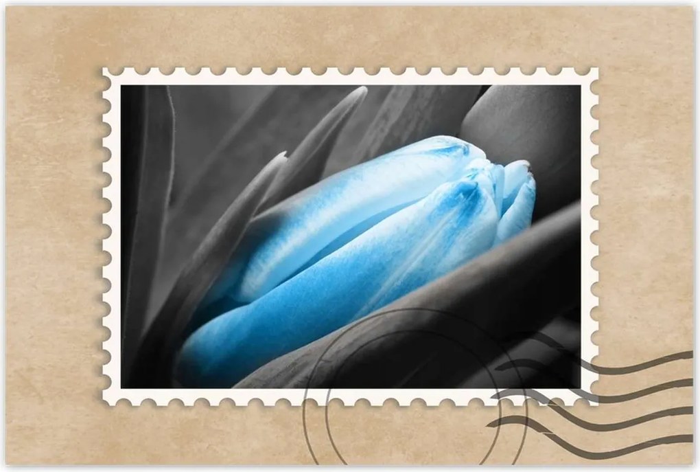 Poszterek 90x60 Kék szirmok Tulipán