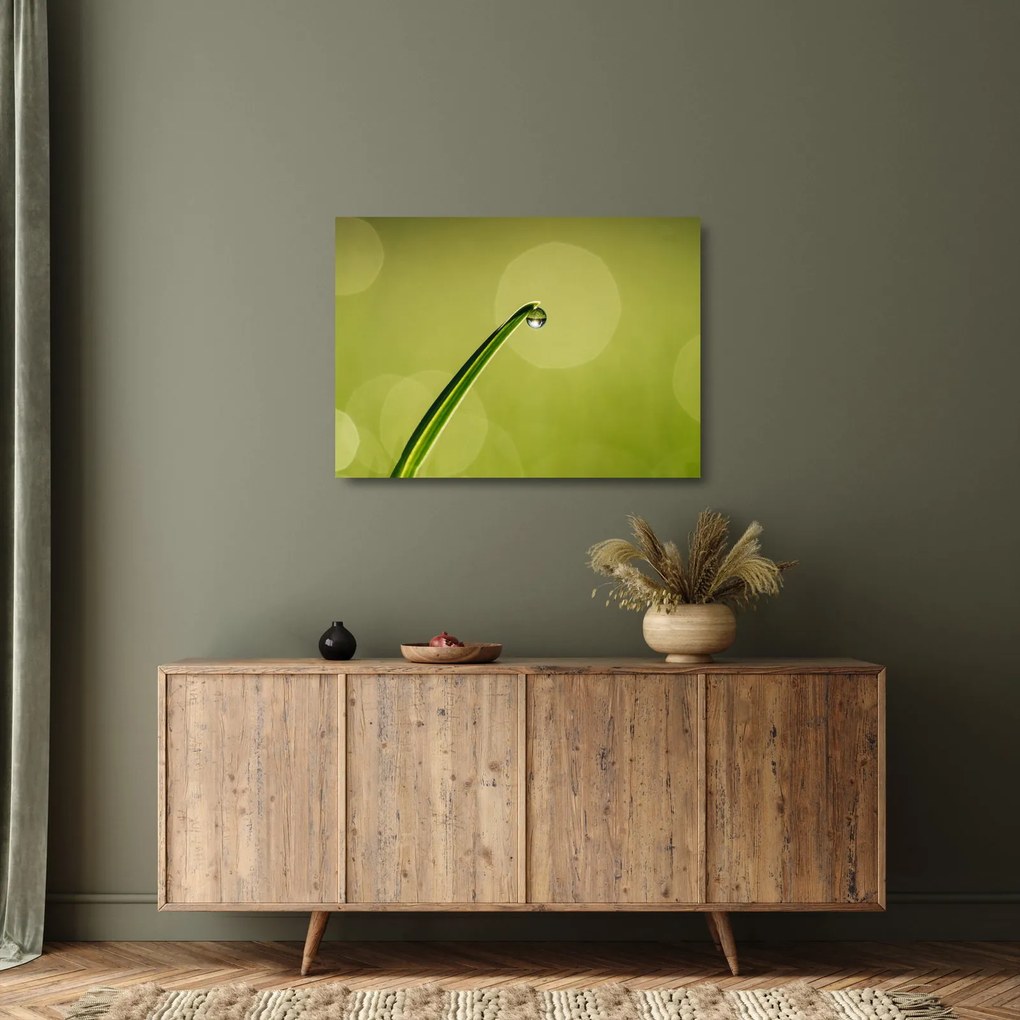 Víz csepp a fűben képe (üvegen) (70x50 cm)