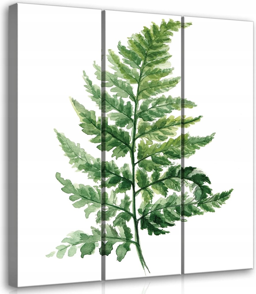 Vászonkép 90x100 Páfrány akvarell zöld természet botanika minimalizmus levelek