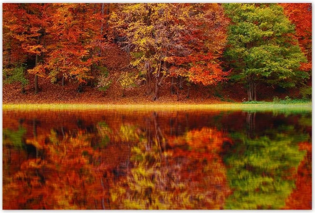 Plakátok 120x80 Őszi táj