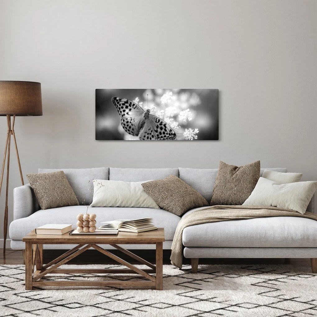 Kép - Részlet egy virágot beporzó pillangóról (120x50 cm)