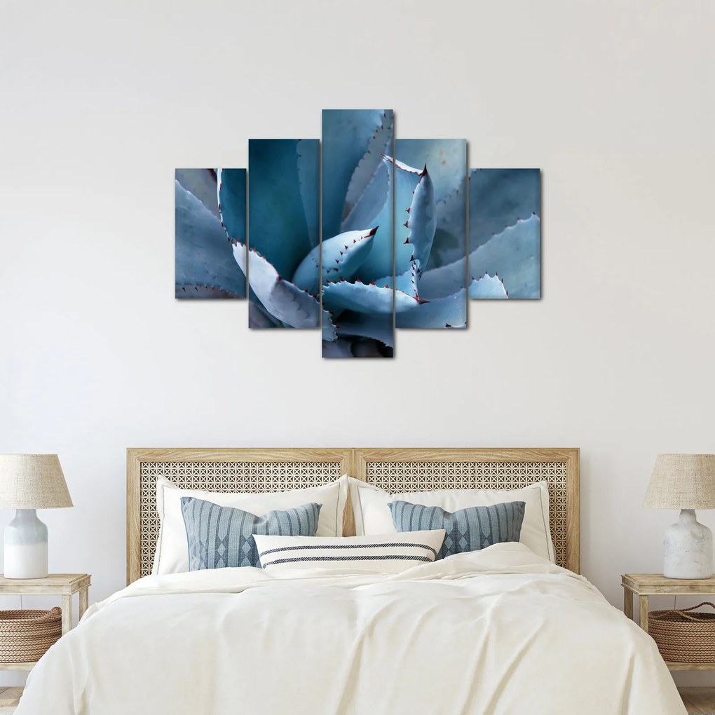 Kép - Agave (150x105 cm)